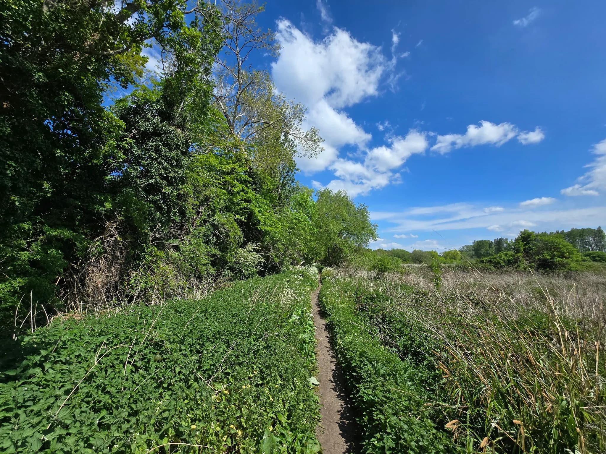 South Norwood Country Park