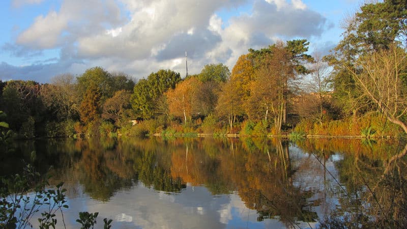 South Norwood Lake