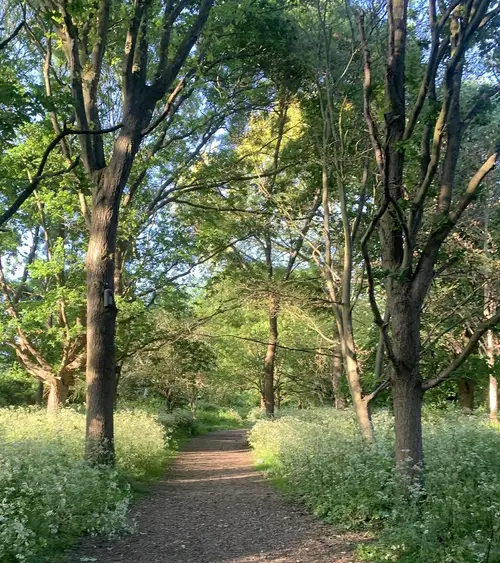 South Norwood Lake grounds