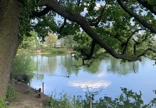 South Norwood Lake grounds